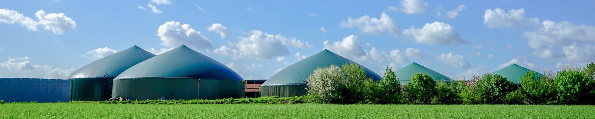 Oxygen production for the desulfurization of biogas